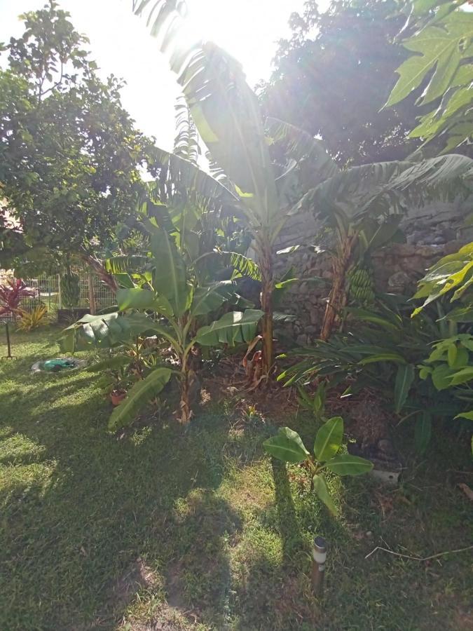 Le Goyavier Apartment Saint-Pierre ภายนอก รูปภาพ